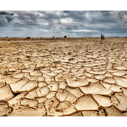Columna "COP25: de Host a SuperHost"