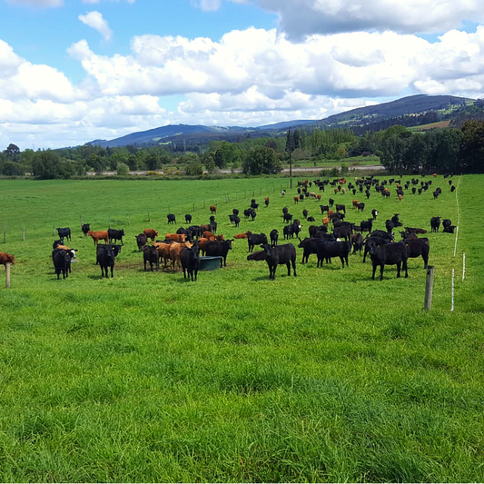 ¿Sabías que al preferir carnes producidas bajo un Sistema Regenerativo estás mitigando el Cambio Climático?
