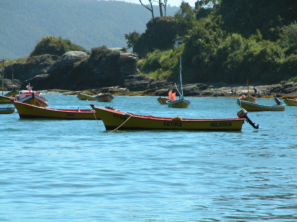 Dominga Huichalaf