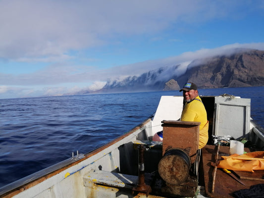 Breca de Juan Fernández