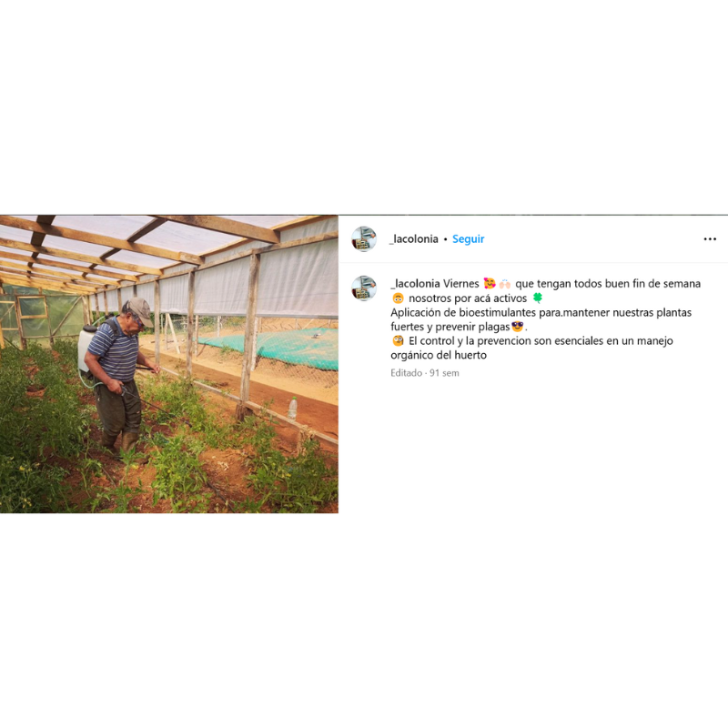 Mermelada de Ciruelas