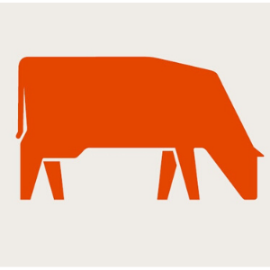 Carne Molida Angus 5% 500 gr