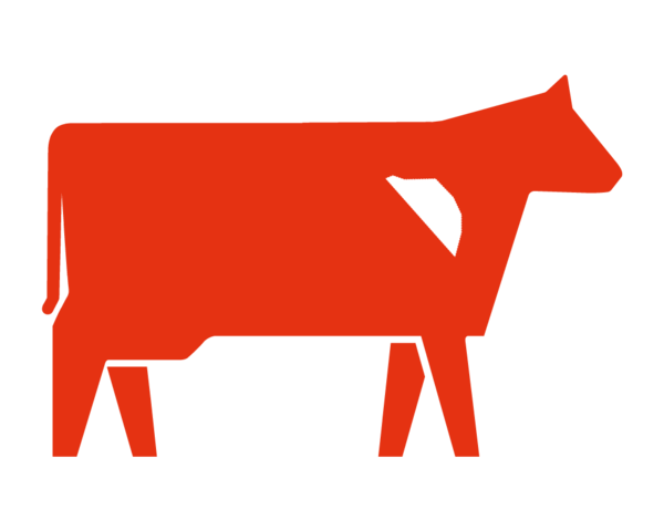 Asado del Carnicero