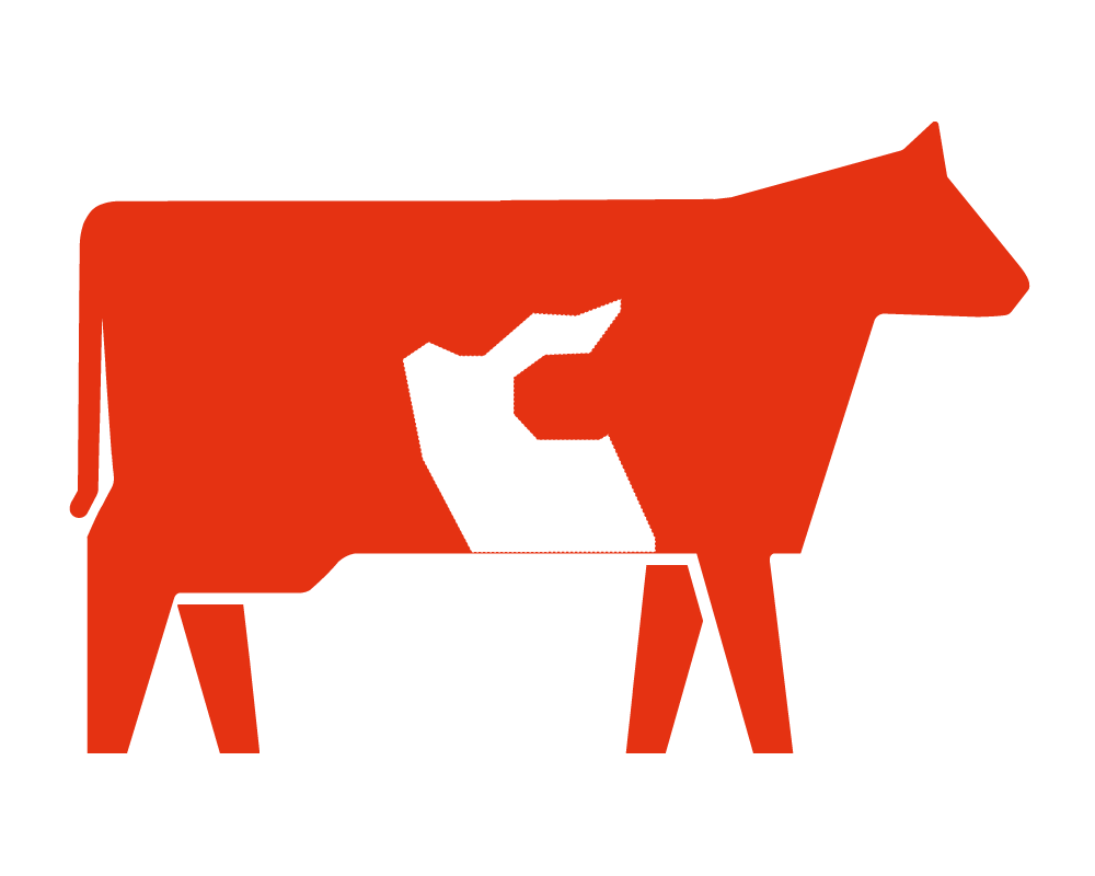 Asado de Tira Angosto