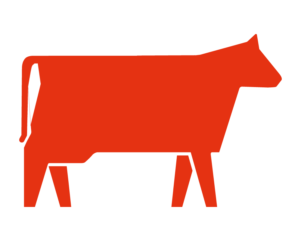 Pollo Ganso