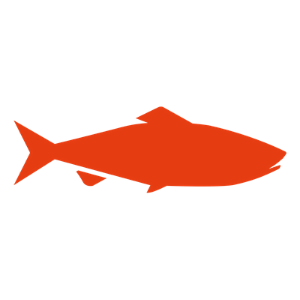 Róbalo Pesca Artesanal