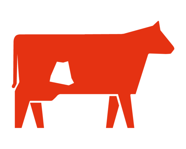 Arrachera