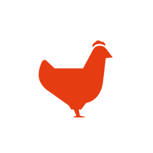 Cazuela de Pollo