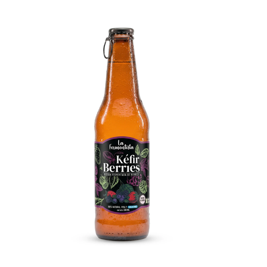 Bebida Aquakéfir Berries