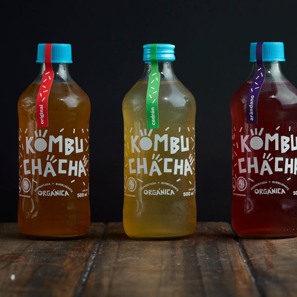 Kombucha Orgánica Arándano