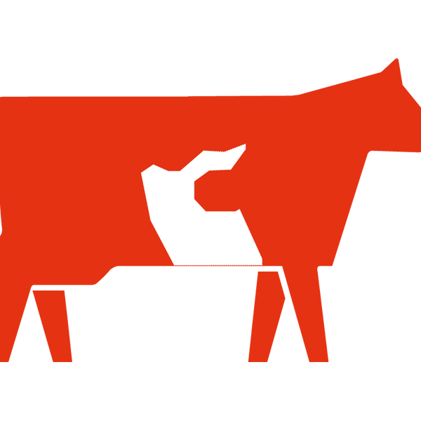 Asado de Tira Angosto