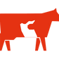 Asado de Tira